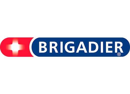 Логотип бренда Brigadier