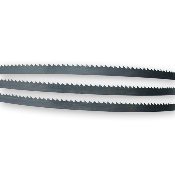 Полотно ленточное BELMASH 10x0,6-6TPI x 2560 PP188A