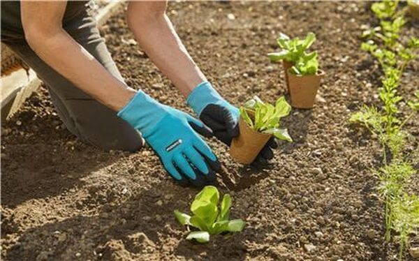 Перчатки Gardena садовые для работы с почвой S 11510-20.000.00
