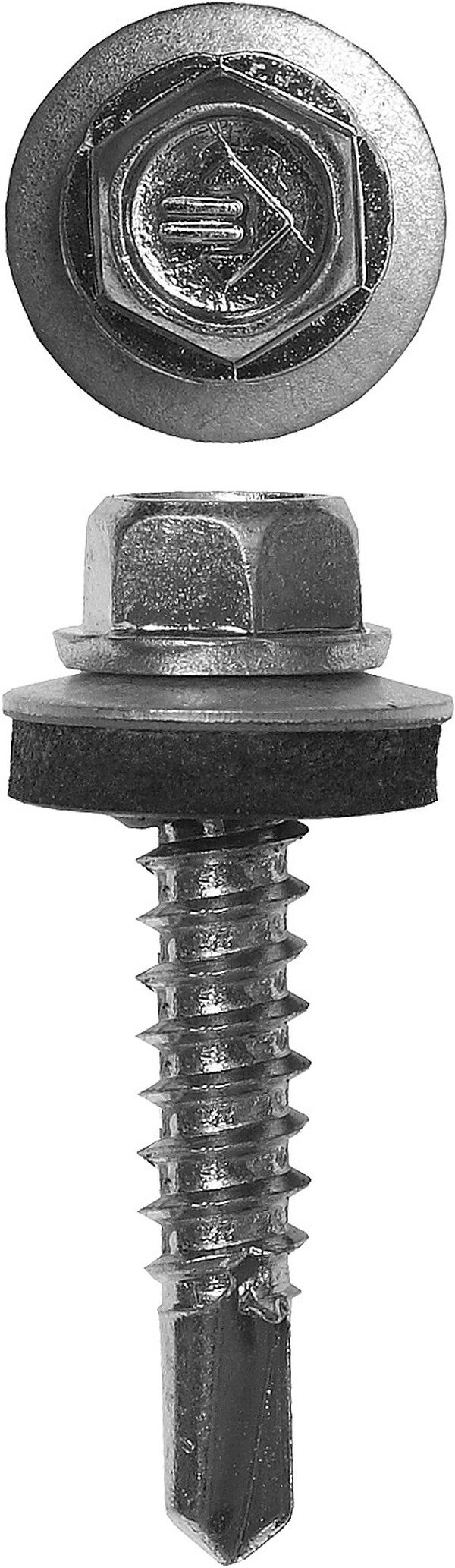 Саморез ЗУБР СКМ, 25 х 5.5 мм, цинк, 1800 шт, кровельный, Профессионал  4-300310-55-025 